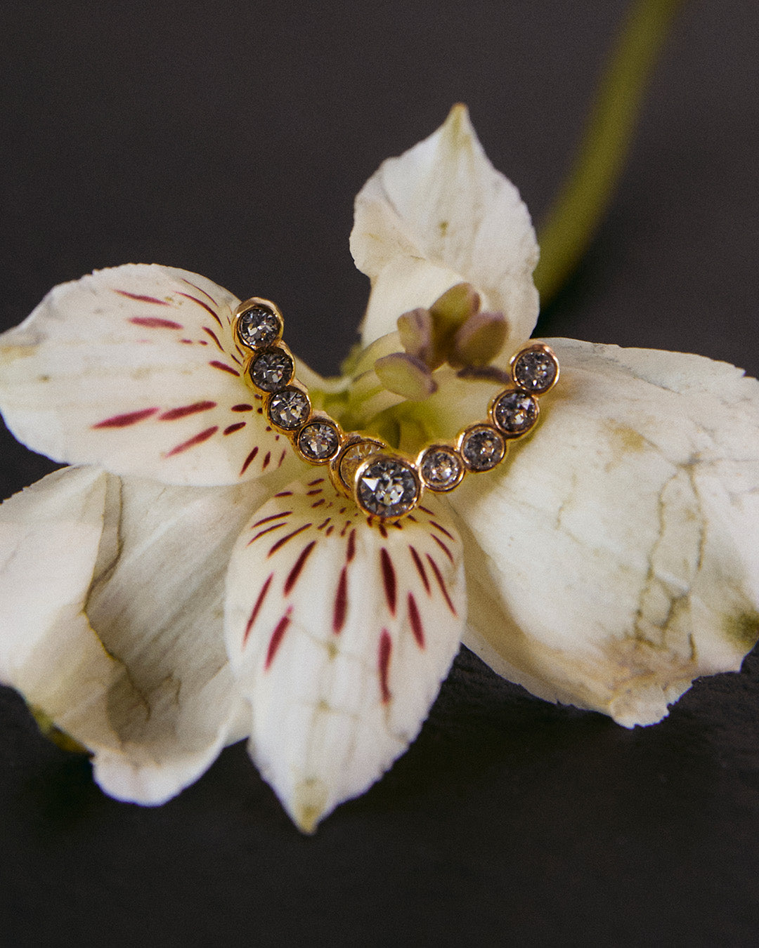 Pendientes Luna Lunera