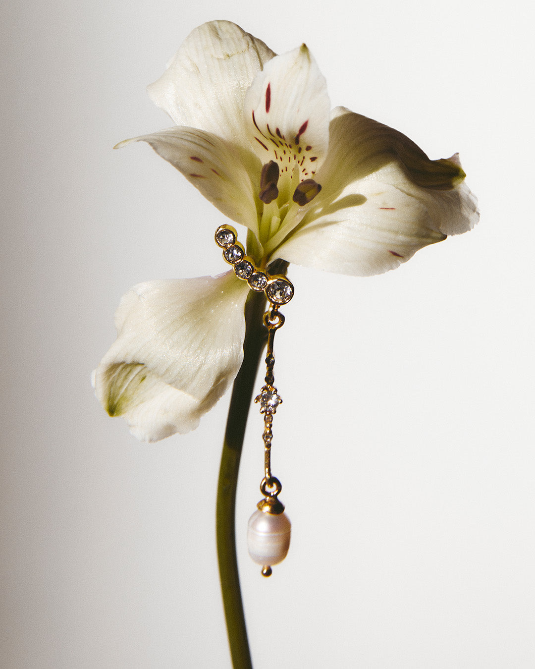 Pendientes Luna Lunera Long