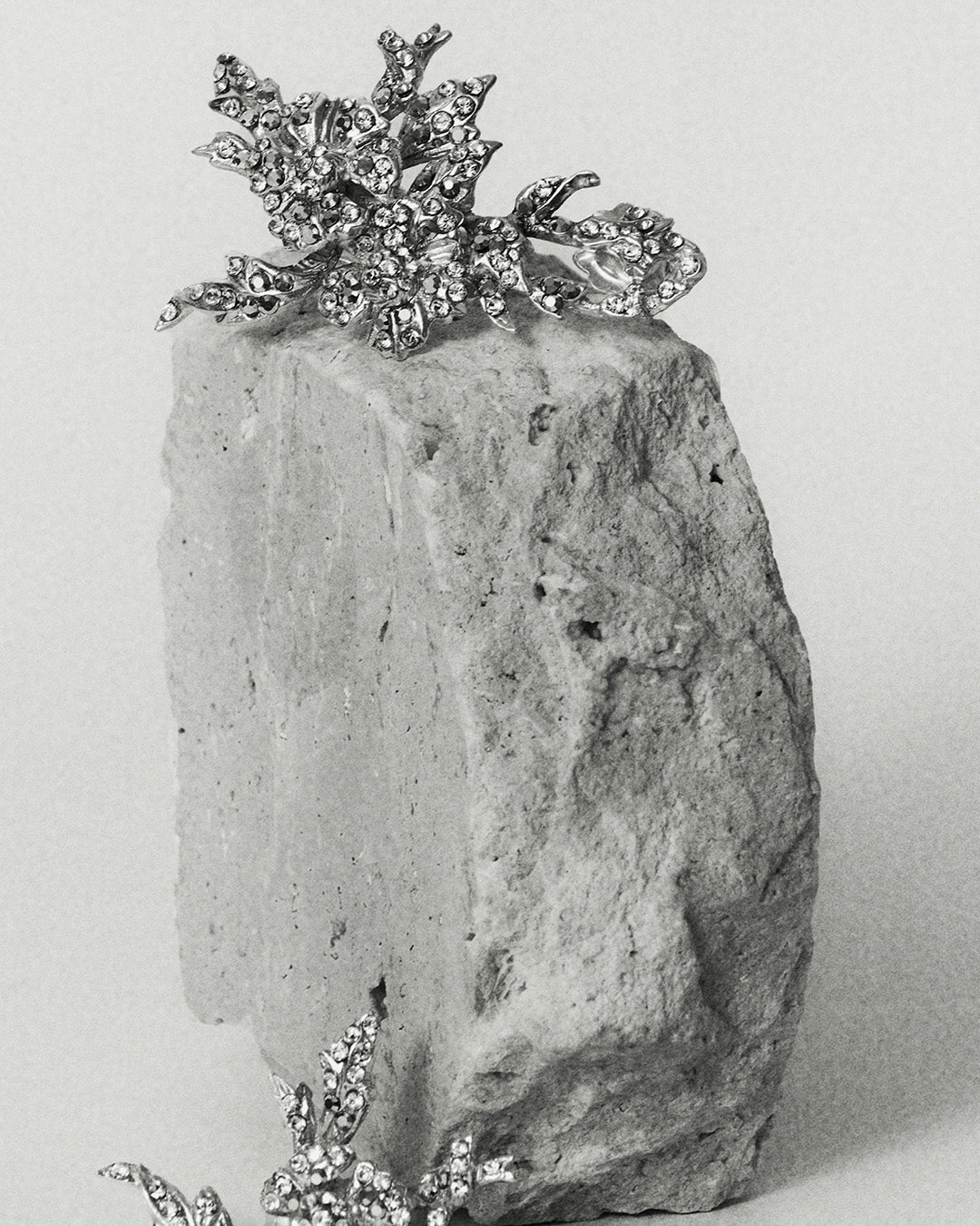 Pendientes Enredadera Corsage