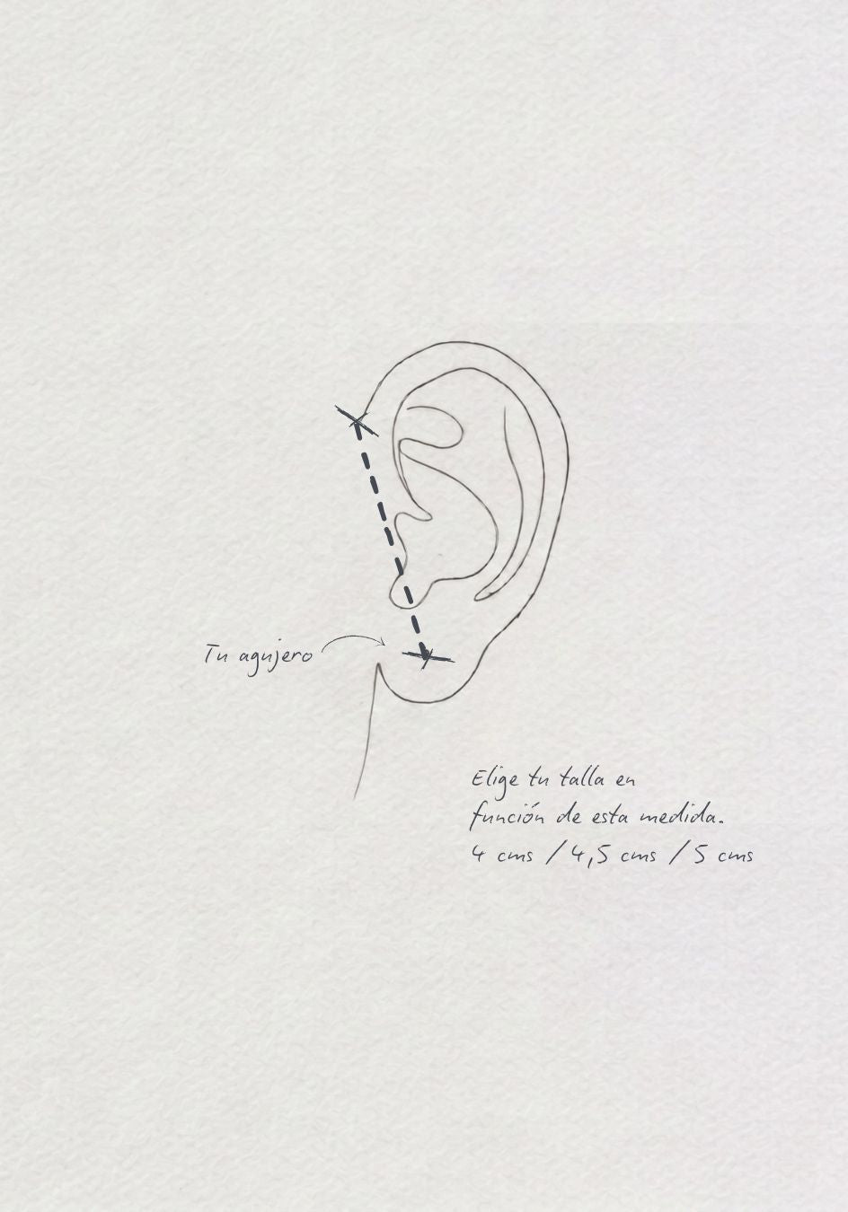 Pendientes Enredadera Corsage
