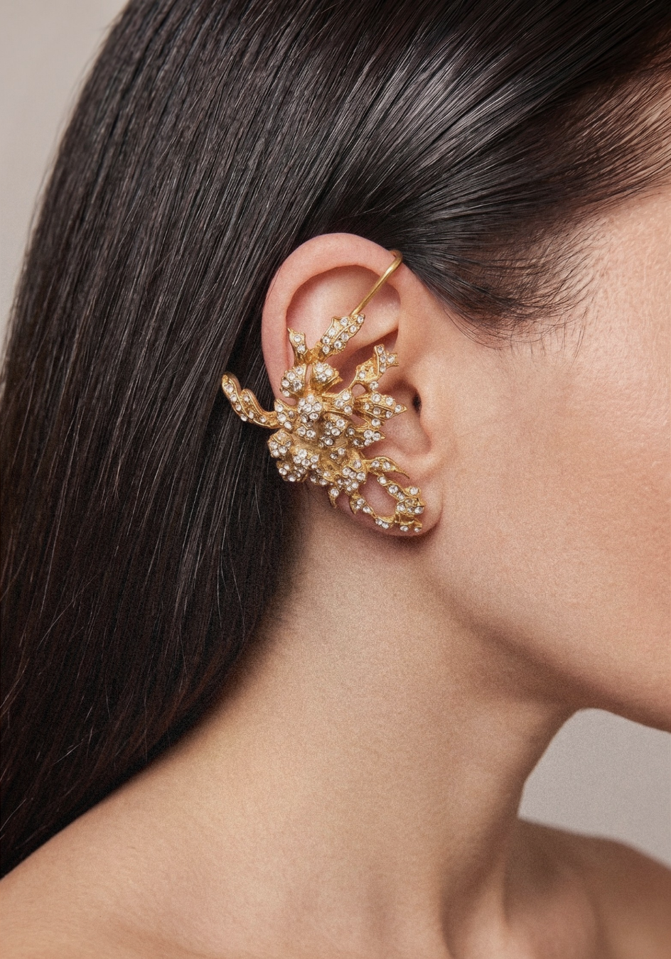 Pendientes Enredadera Corsage